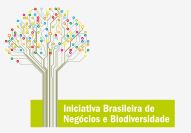 Iniciativa del Brasil